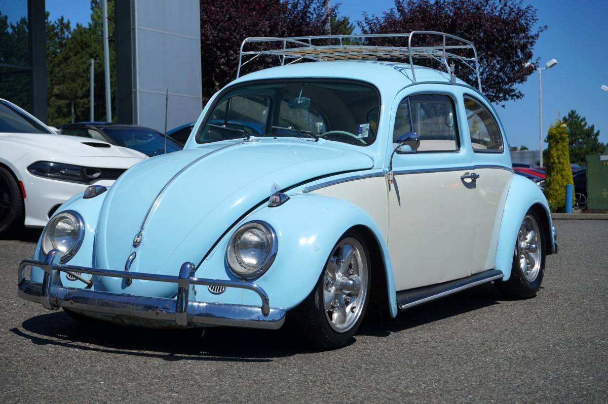 Volkswagen-Type-1-beetle-hatchb-1961-blue