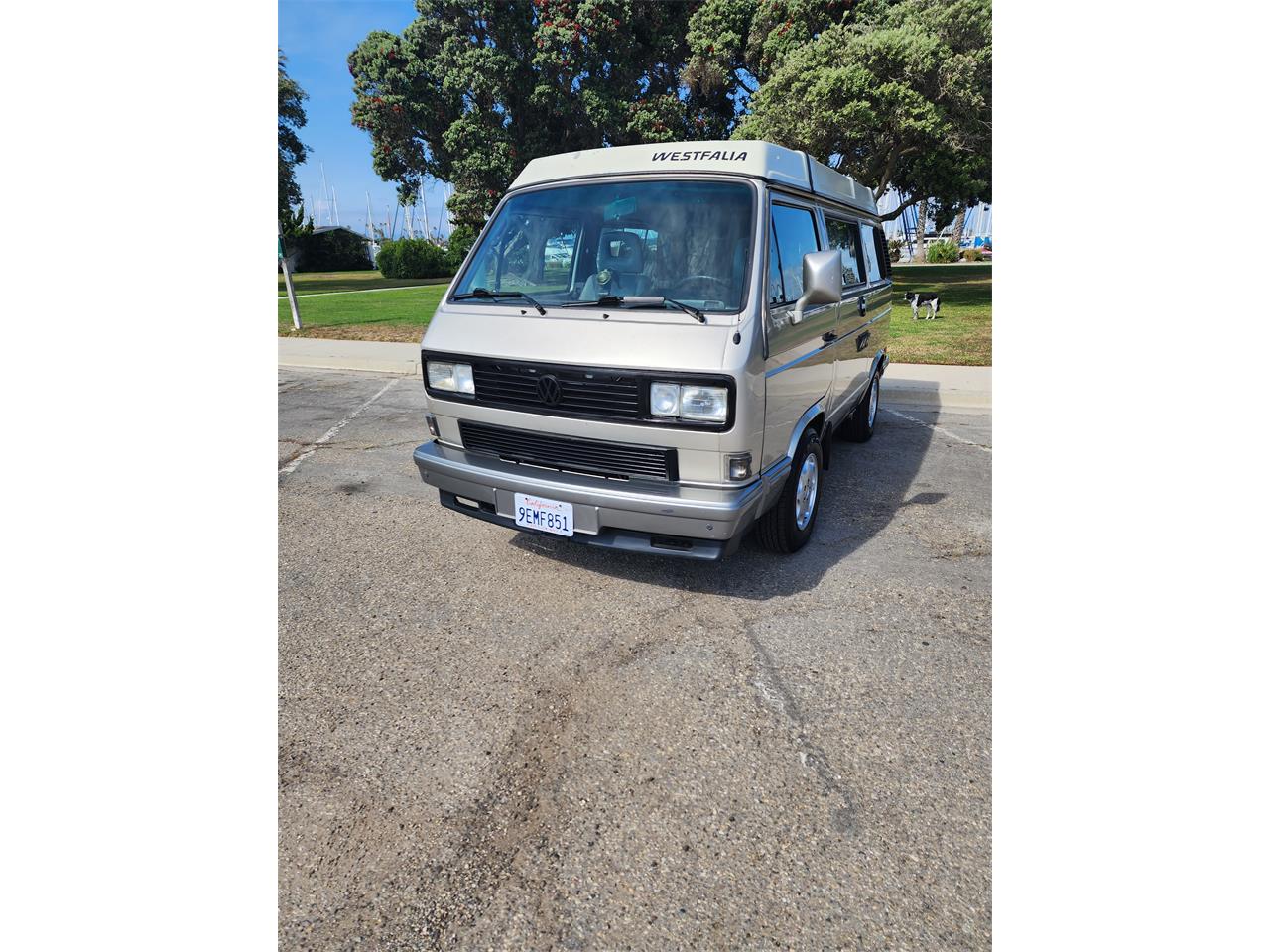 Volkswagen-Westfalia-camper-1991-Bronze-Gray