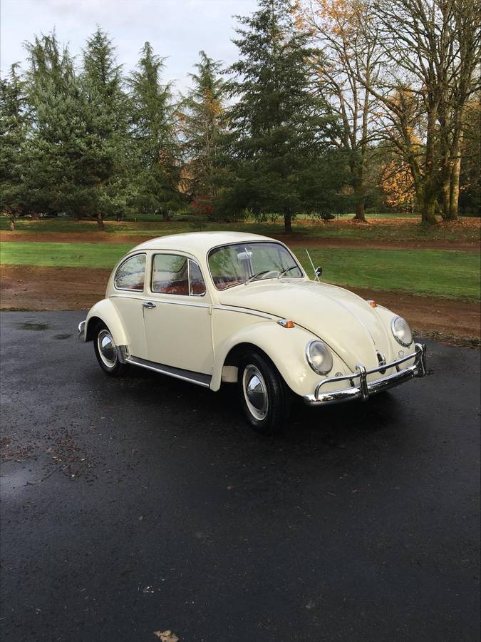 Volkwagen-bug-1963-white