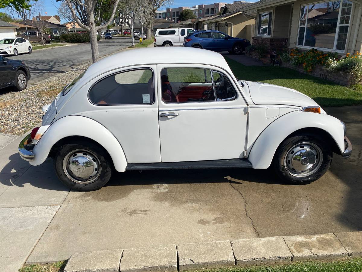 Vs-bug-1970-white