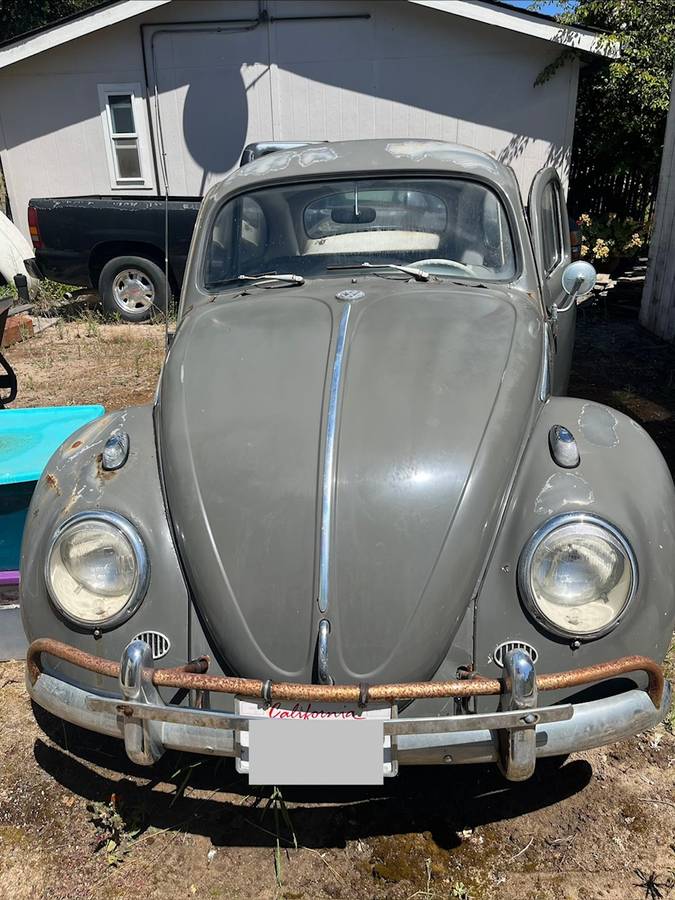 Vw-beetle-1962-grey