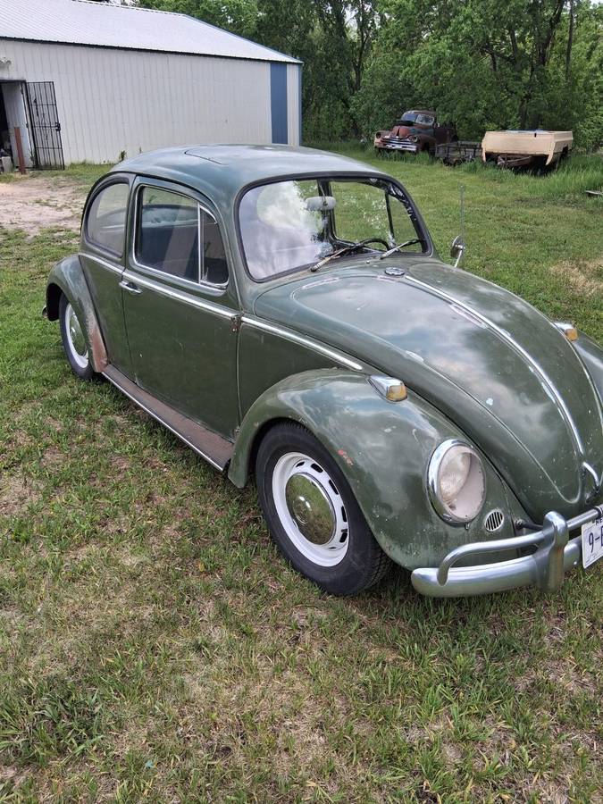 Vw-beetle-1966
