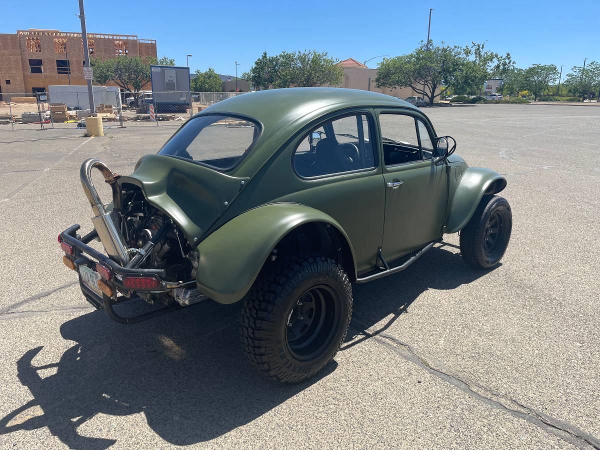 Vw-beetle-1969-green