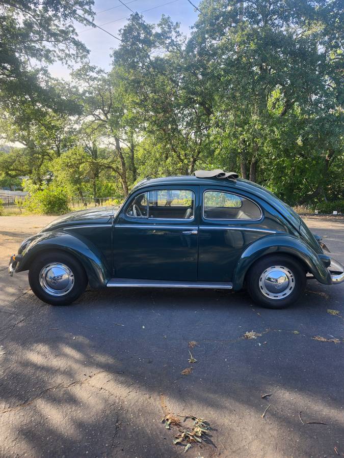 Vw-bug-1956-green