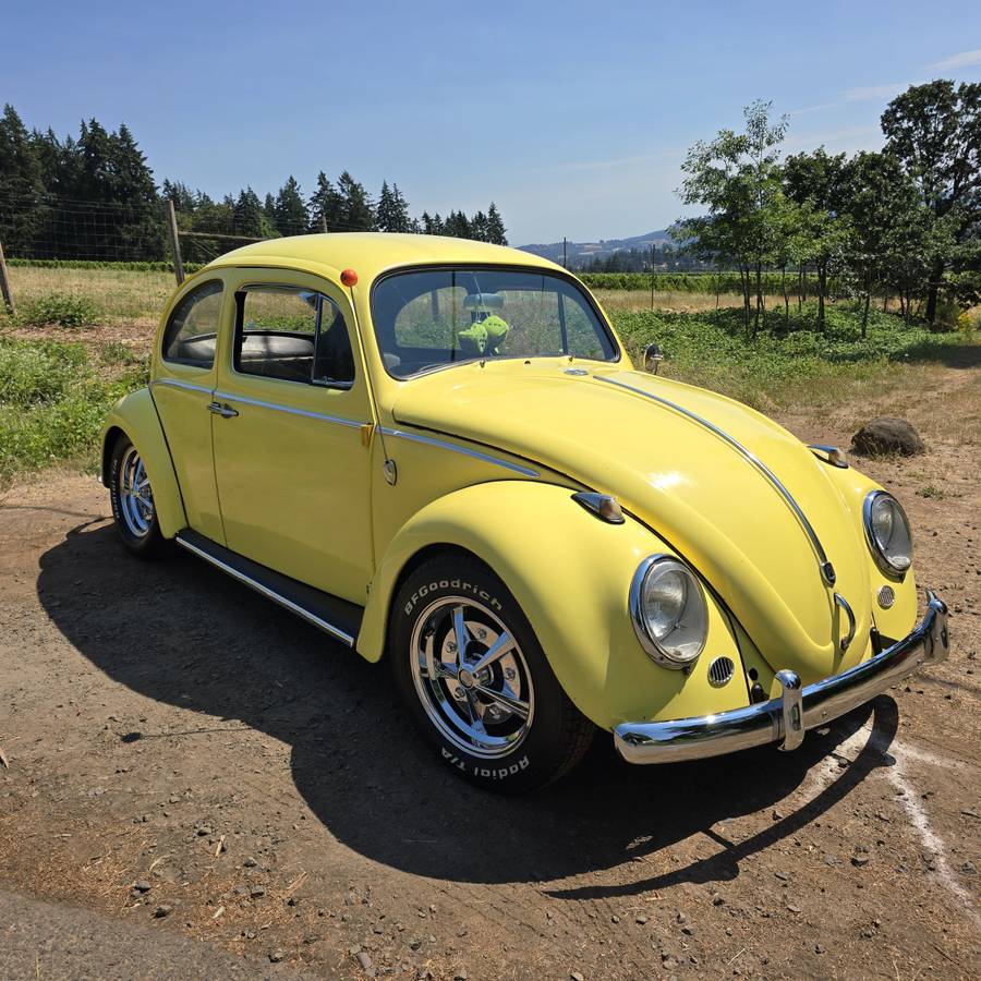 Vw-bug-1962-yellow