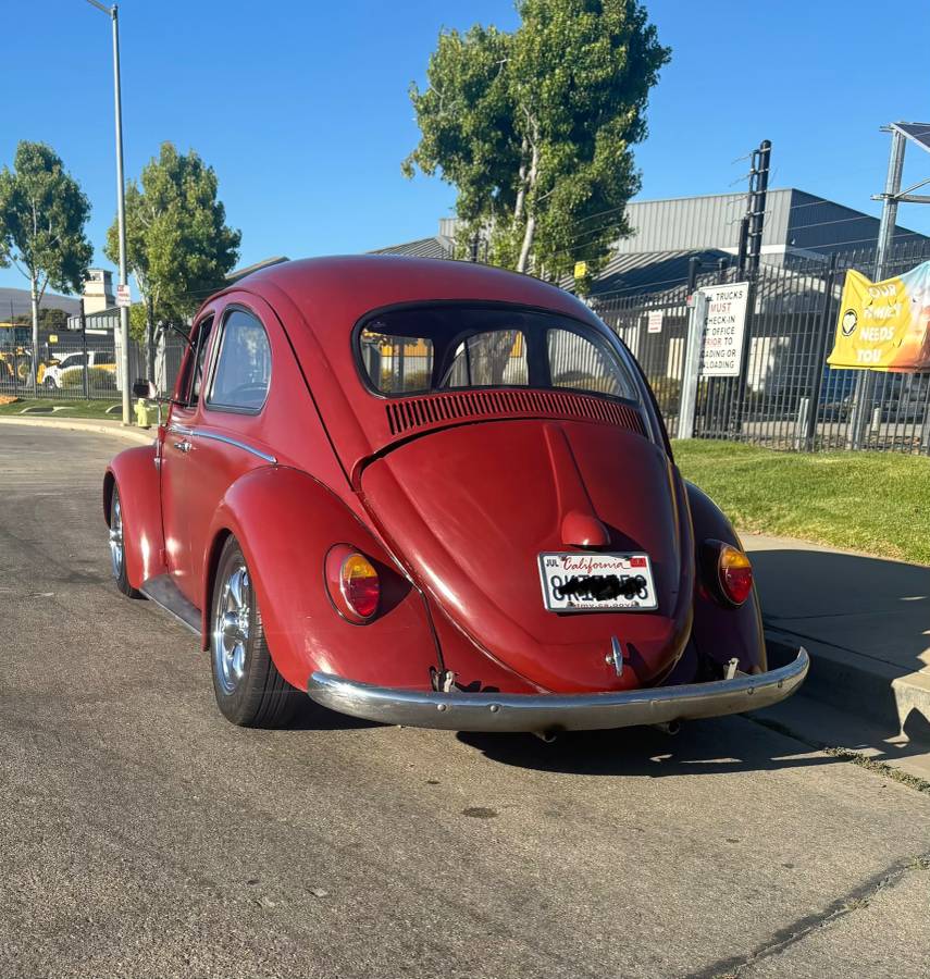 Vw-bug-1964-red
