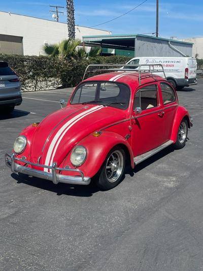 Vw-bug-1966