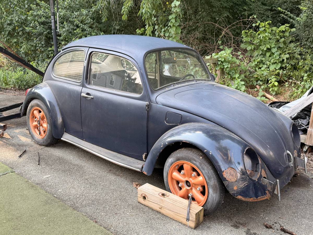 Vw-bug-1969-blue