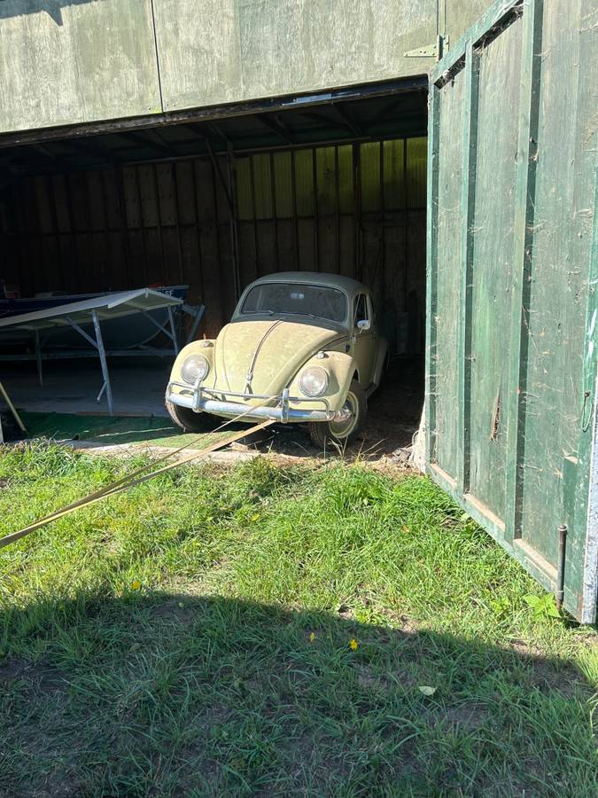 Vwbeetle-1962-yellow