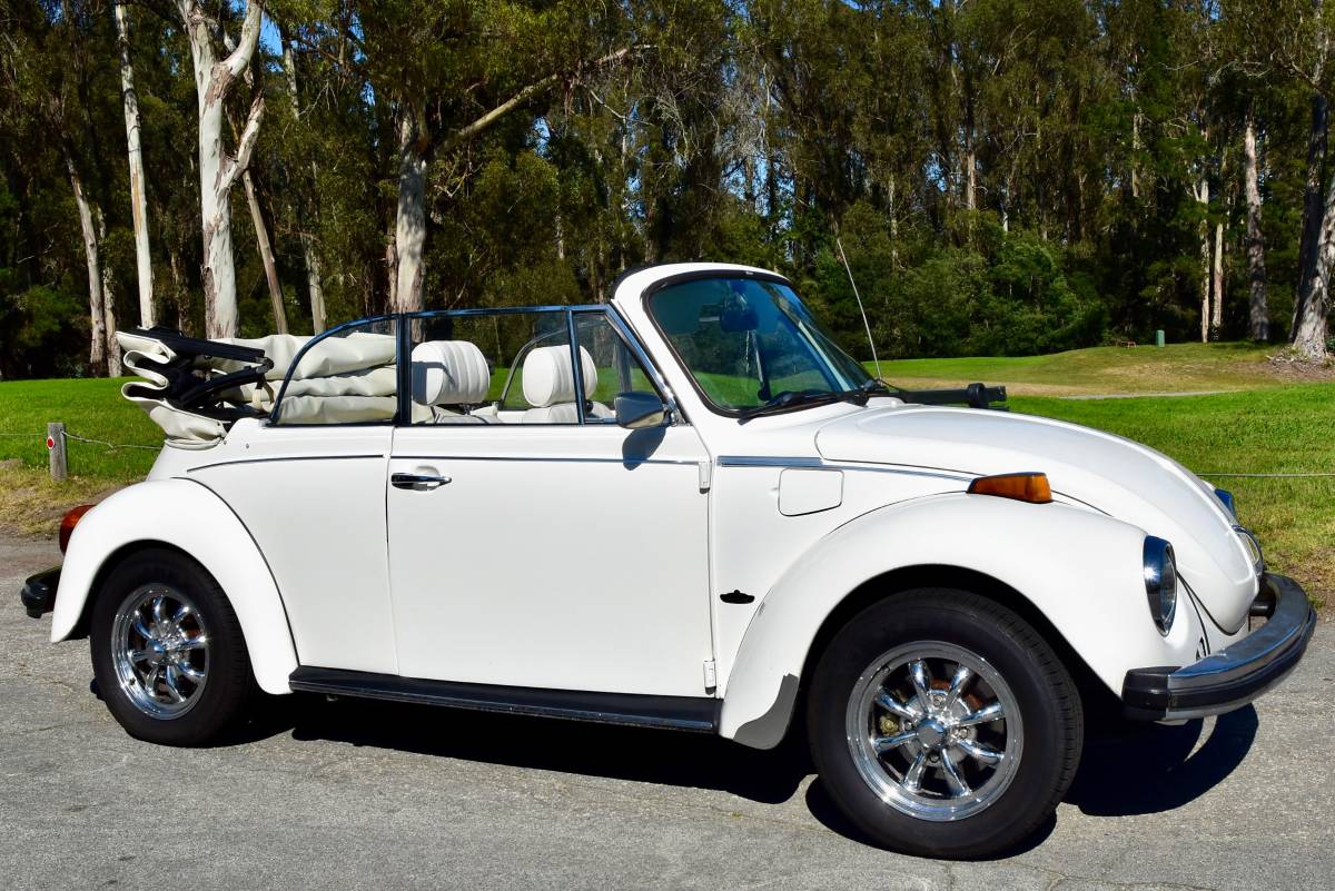 1979-1979-white