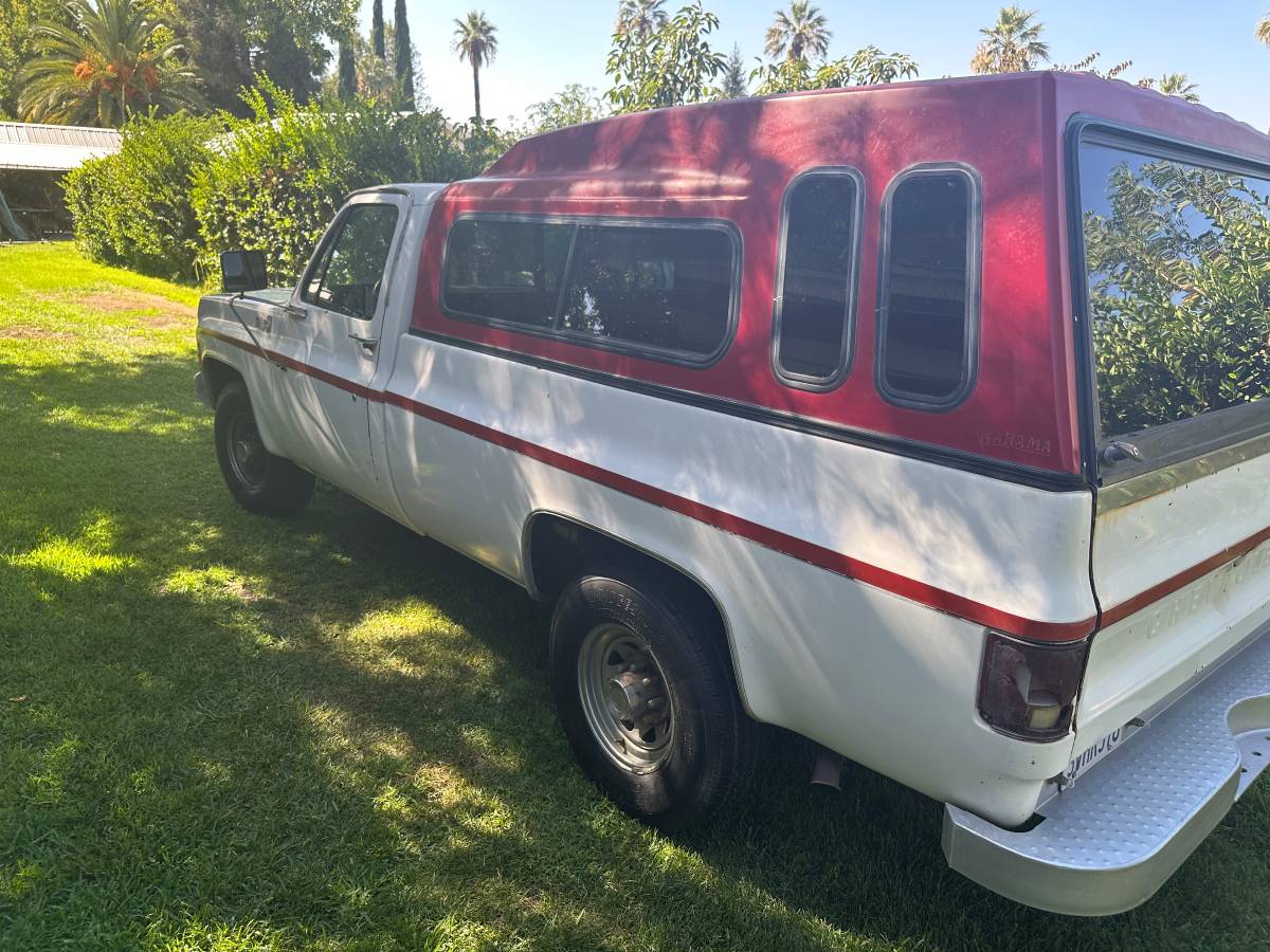 77-chevy-c20-1977-white