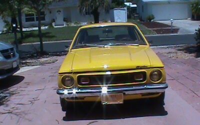 AMC  1973