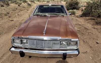 AMC DL 1983