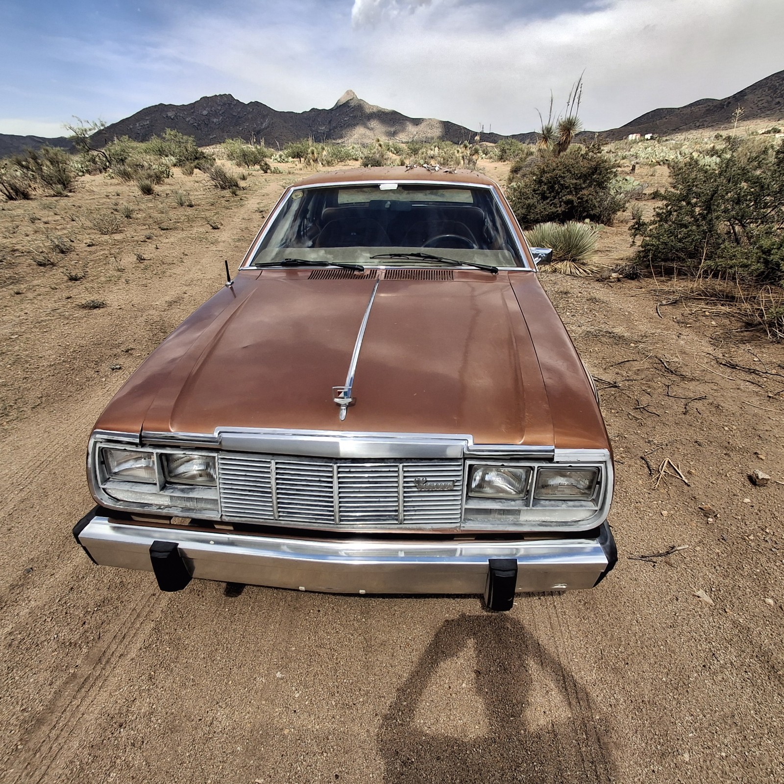 AMC-DL-1983-Sedan-Brown