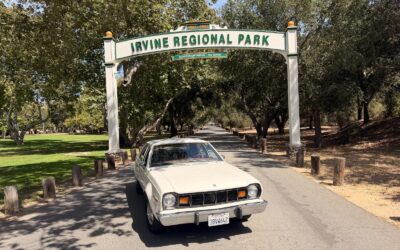 AMC Hornet 1977