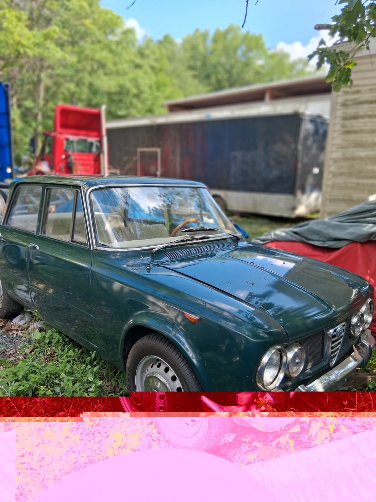 Alfa Romeo Giulia 1967