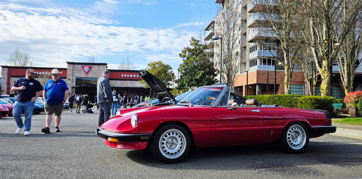 Alfa-romeo-Spider-1984-Red