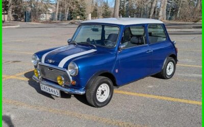 Austin 1000 1982