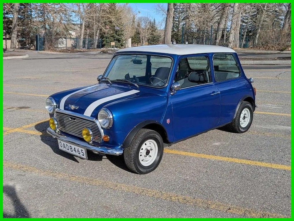 Austin-1000-1982-Other-Color