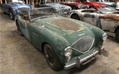 Austin Healey 100-4 1954