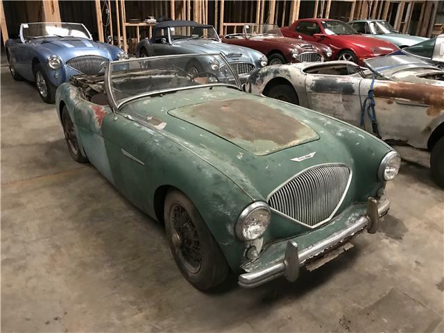 Austin Healey 100-4 1954
