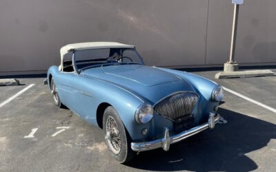 Austin Healey 100-4 1955