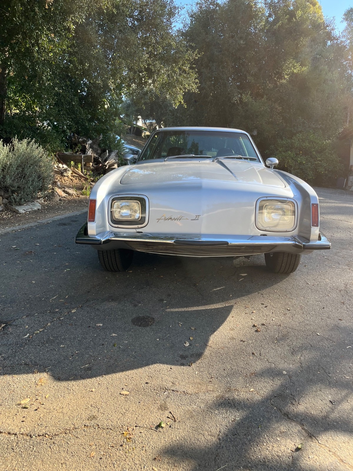 Avanti II 1973