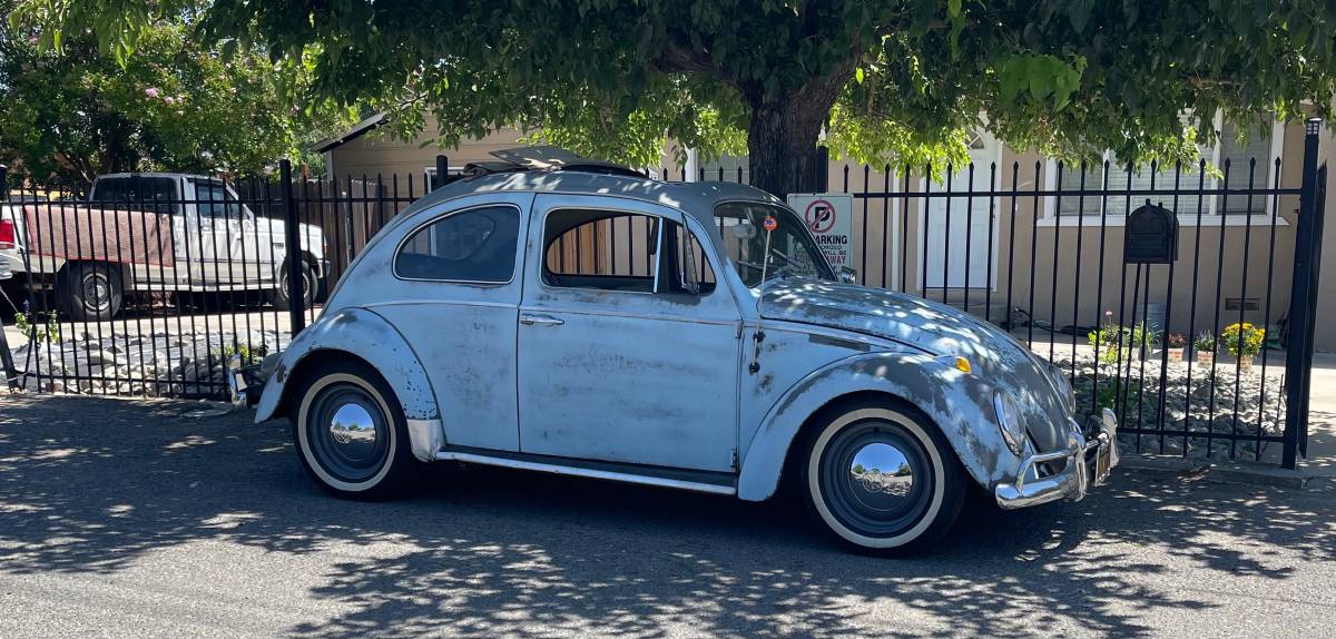 Bettle-1962