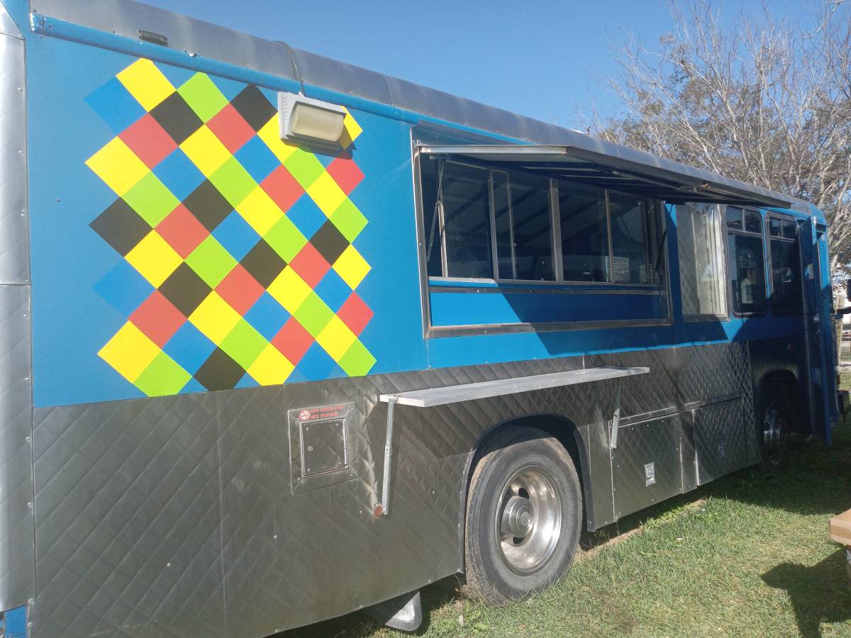 Bluebird-bus-1991-Blue
