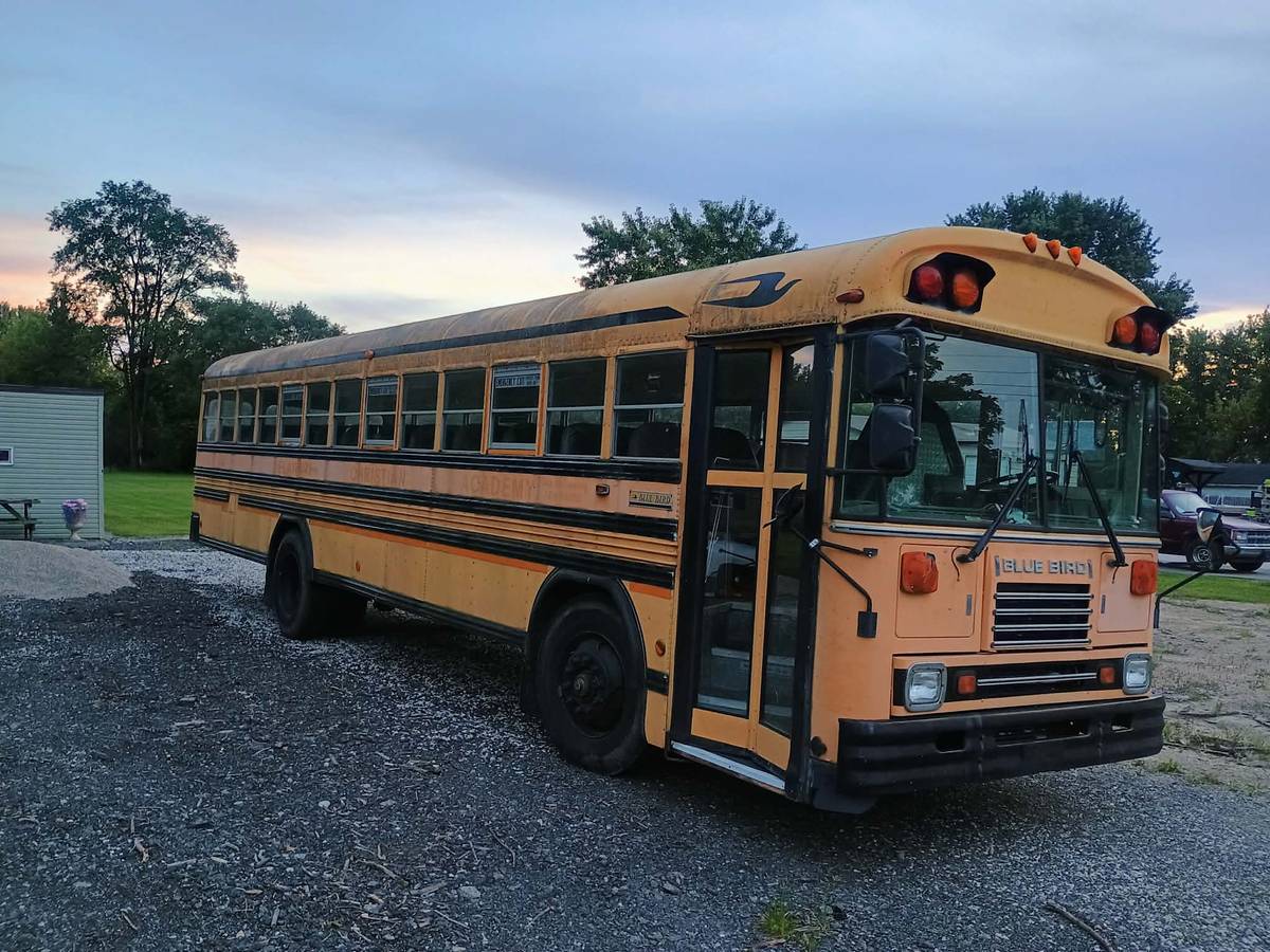 Bluebird-bus-1996-Yellow