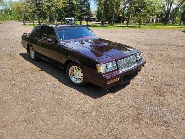Buick-Regal-t-type-coupe-1987-Burgundy-Burgundy