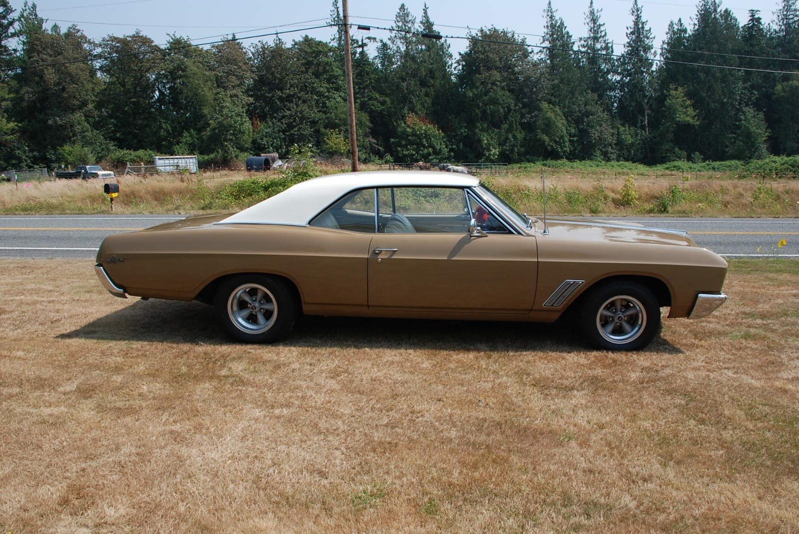 Buick-Skylark-1967-Coupe-White