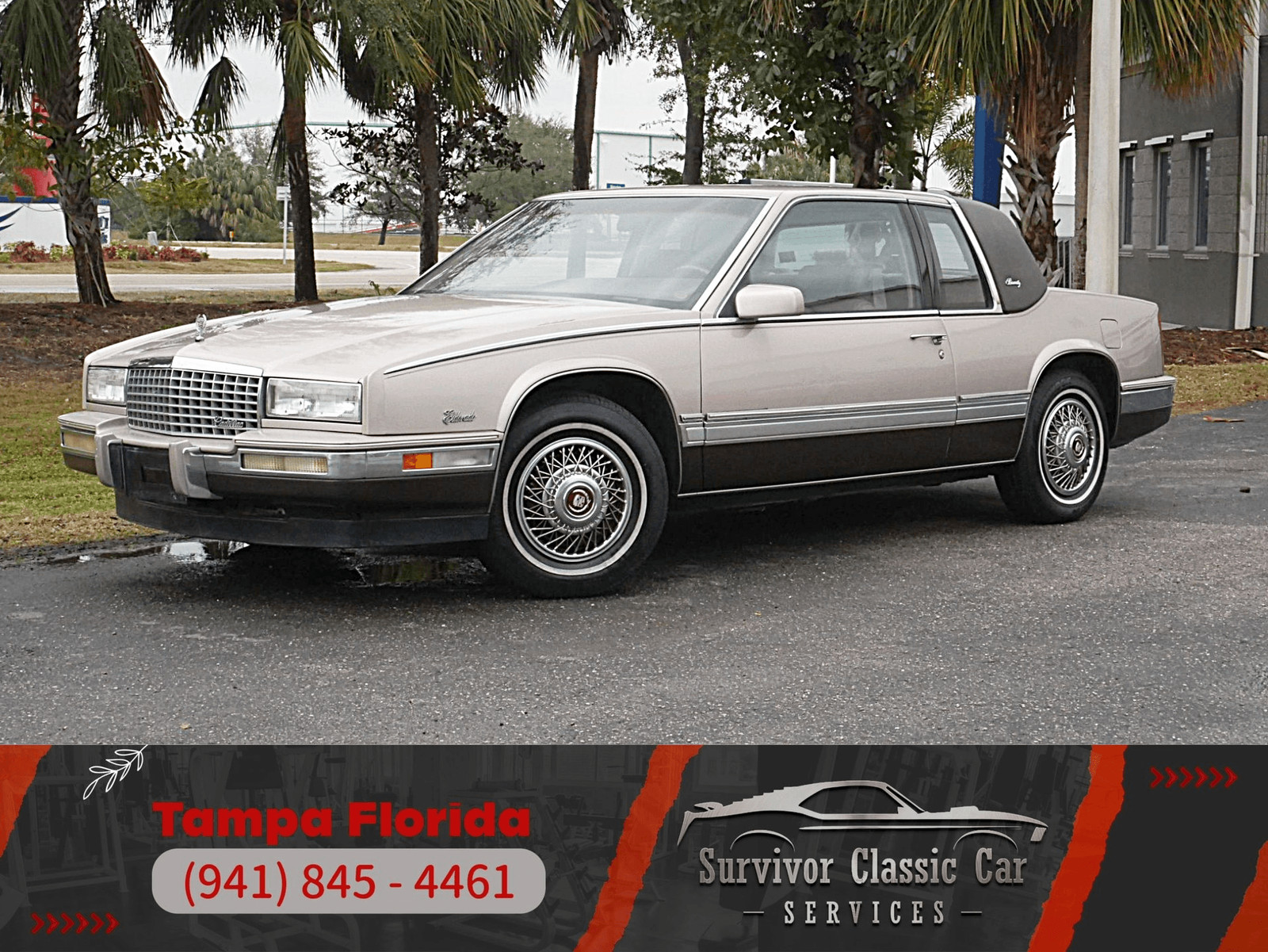 Cadillac-Eldorado-Biarritz-1988-Coupe-Other