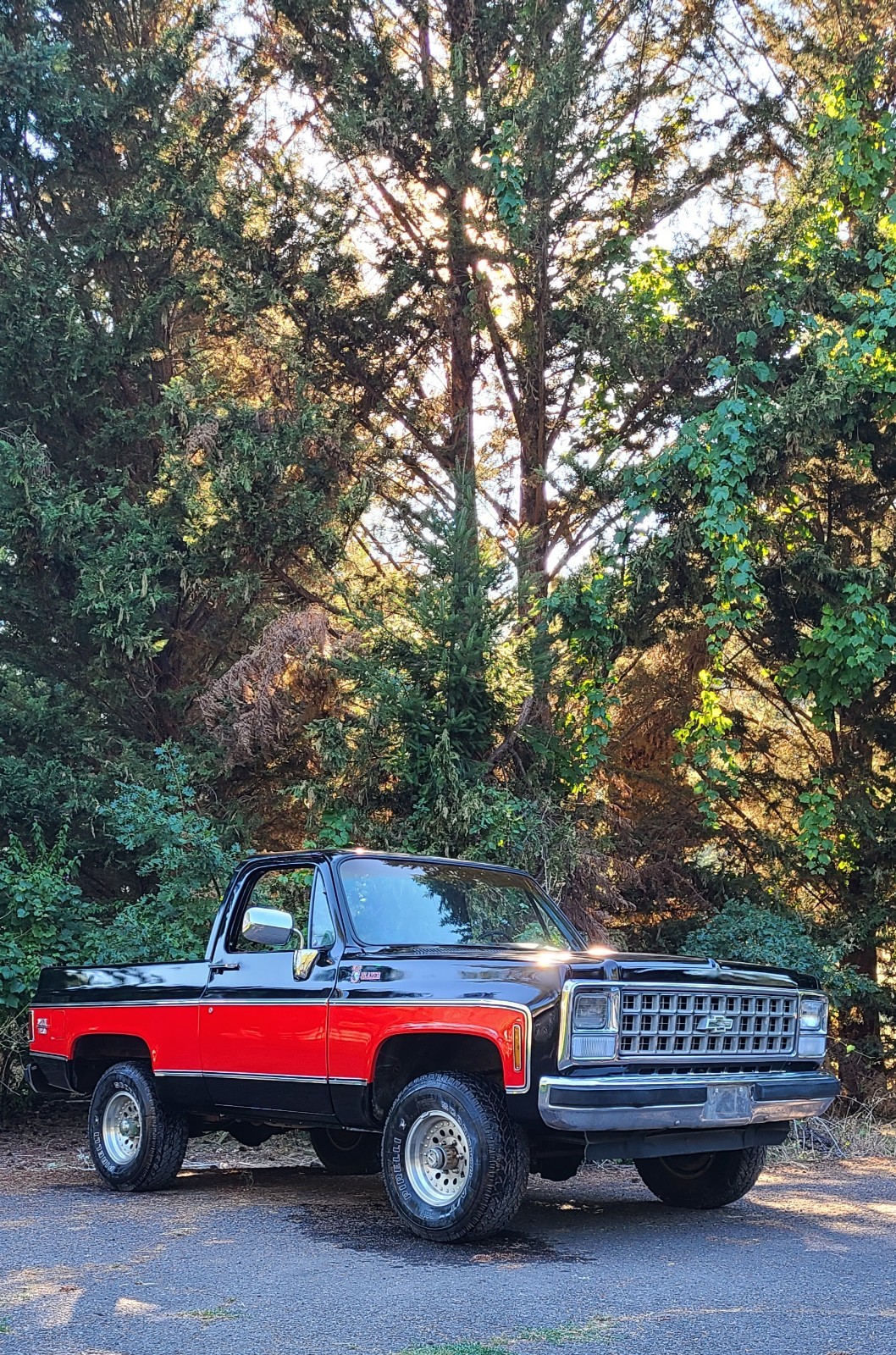 Chevrolet Blazer 1980