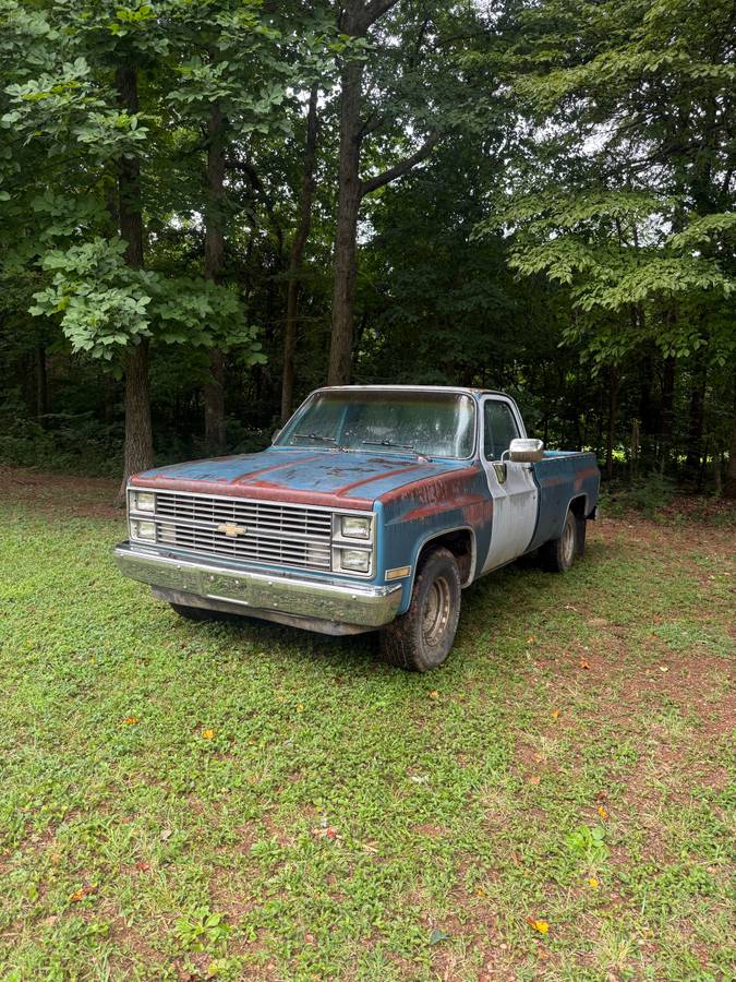Chevrolet-C10-longbed-1983-blue