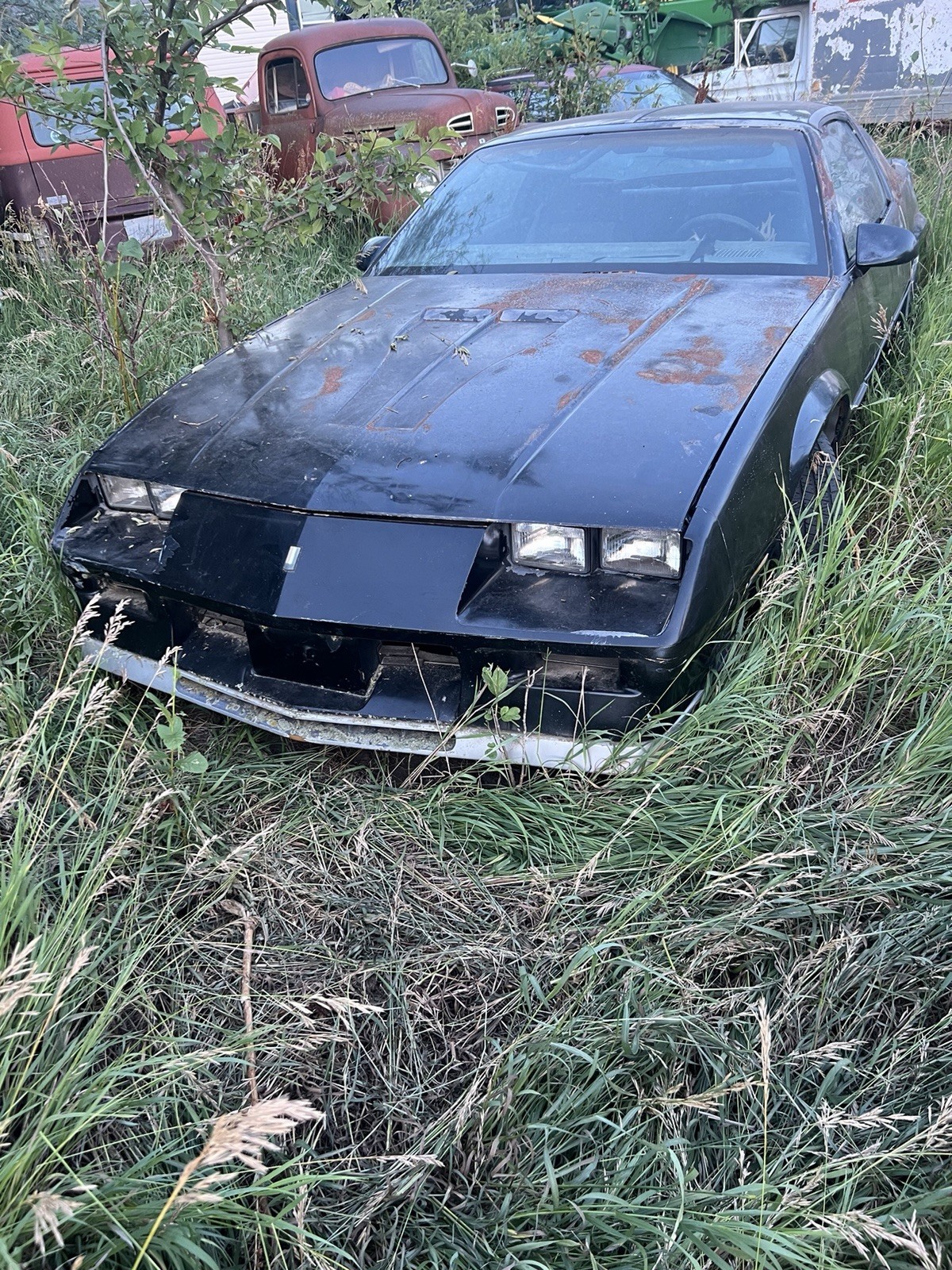 Chevrolet-Camaro-1984-Coupe-Gray