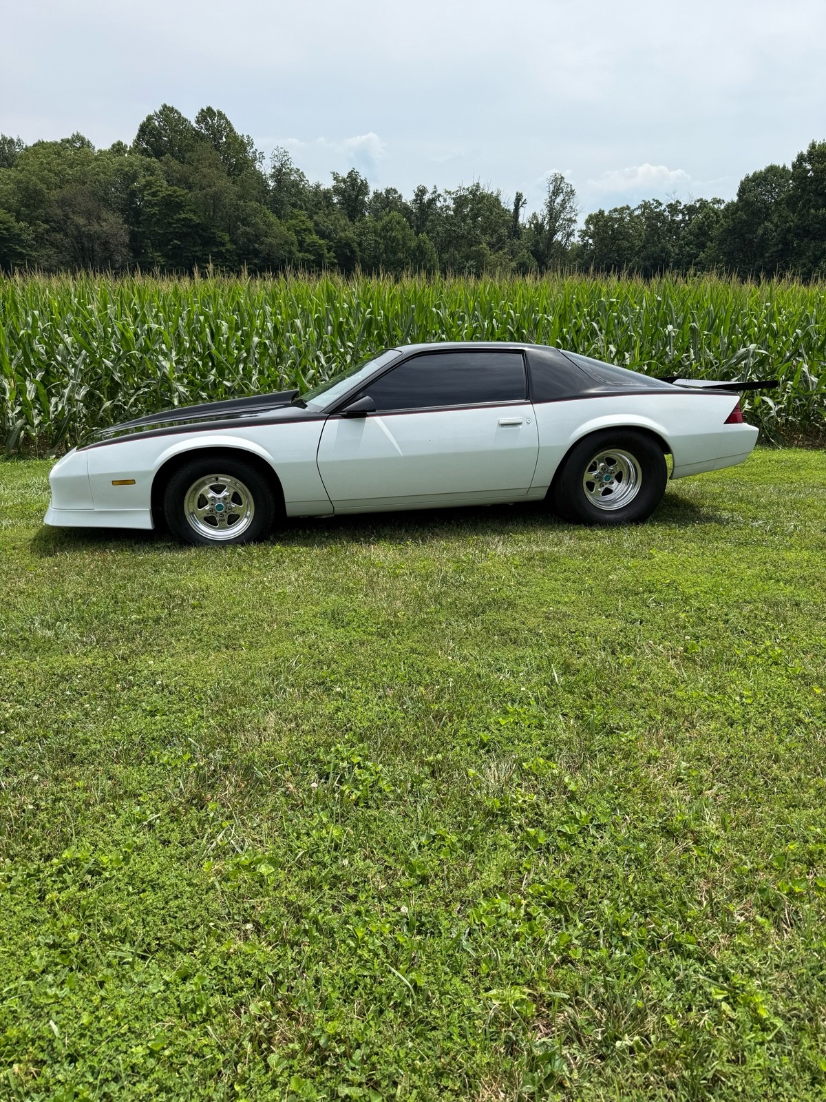 Chevrolet-Camaro-1984-Coupe