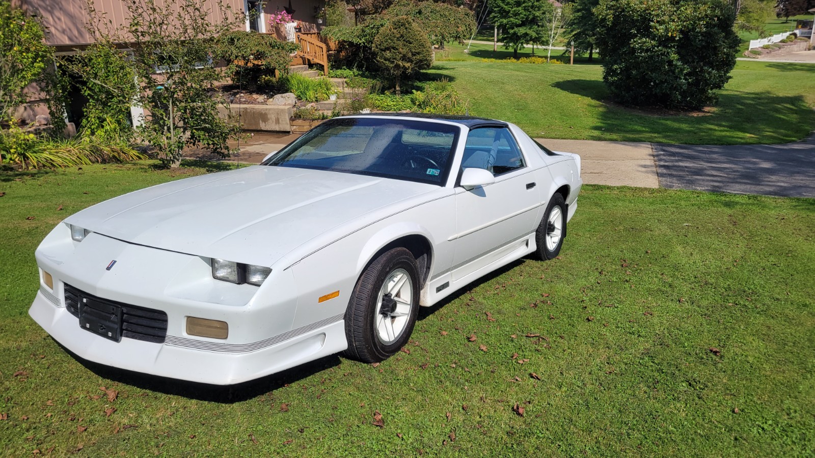 Chevrolet-Camaro-1991-Coupe-Gray
