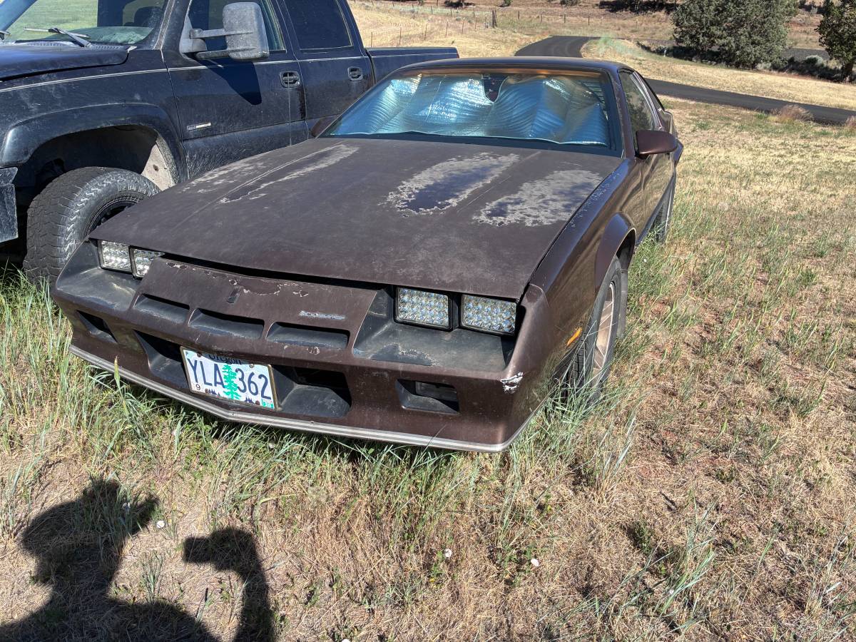 Chevrolet-Camaro-berlinetta-1984-brown