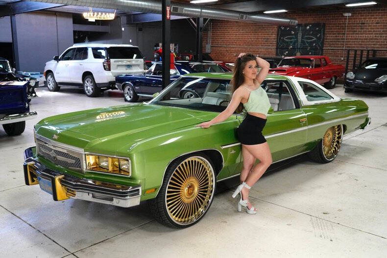 Chevrolet-Caprice-1976-Light-Green-Metallic-White