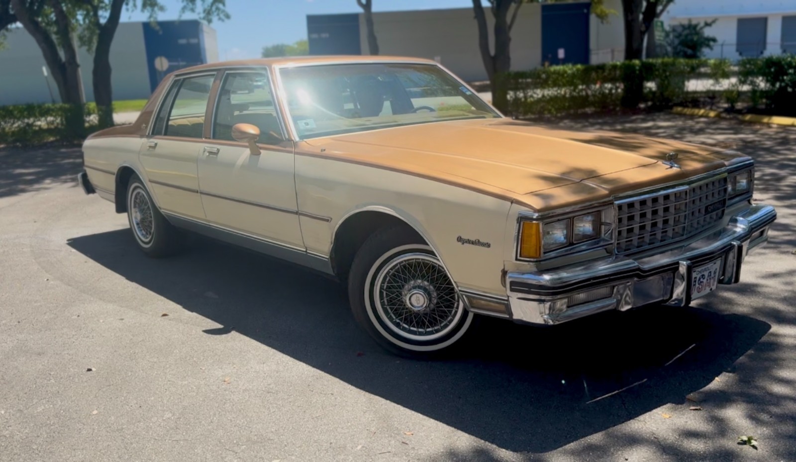 Chevrolet-Caprice-1980-Sedan-Brown