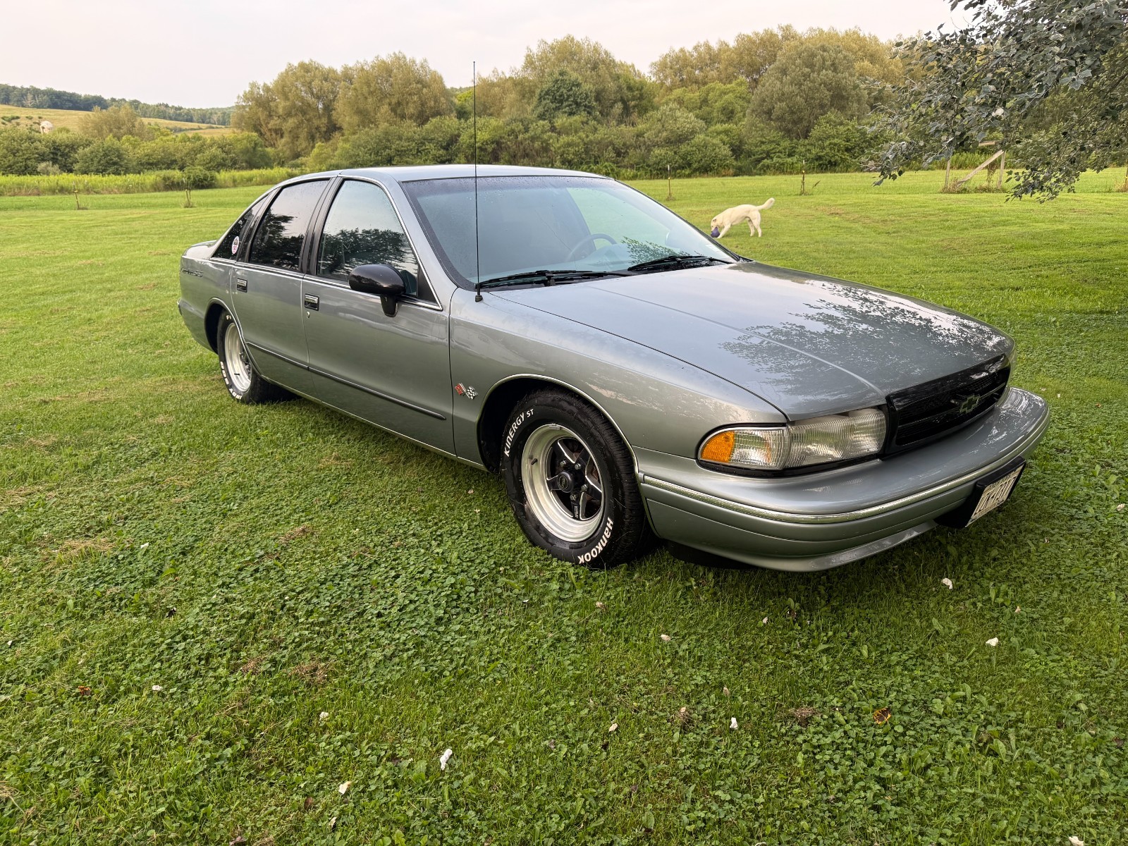 Chevrolet-Caprice-1994-Sedan-Blue