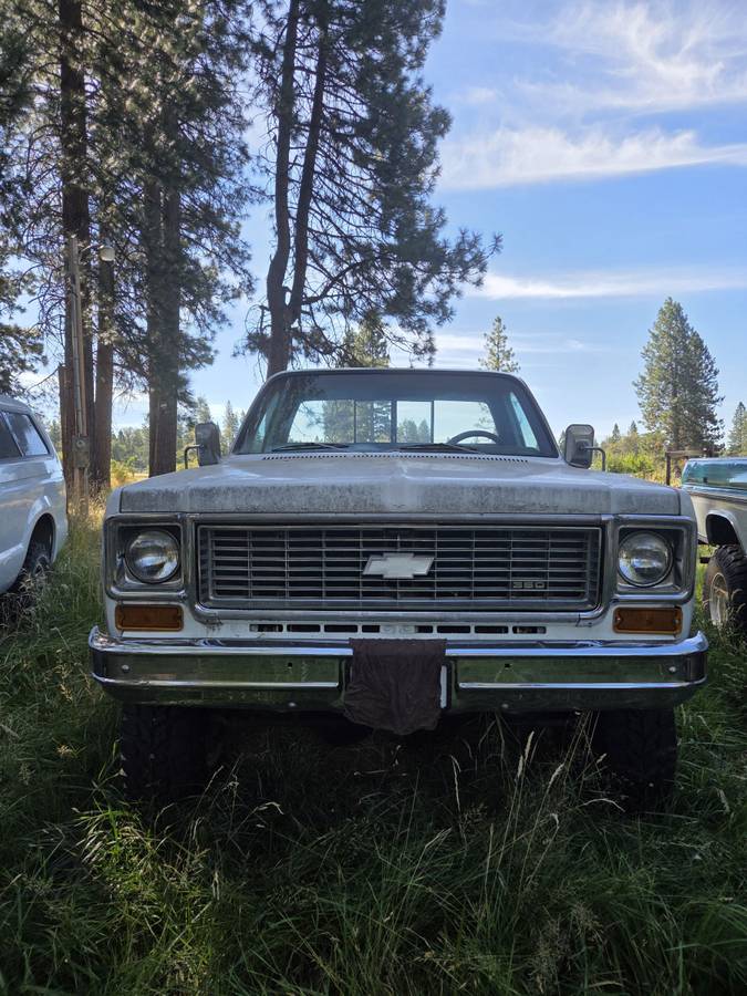 Chevrolet-Cheyenne-1973-White