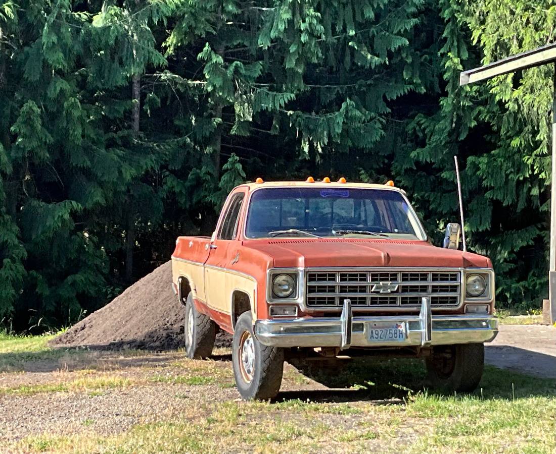Chevrolet-Cheyenne-1977