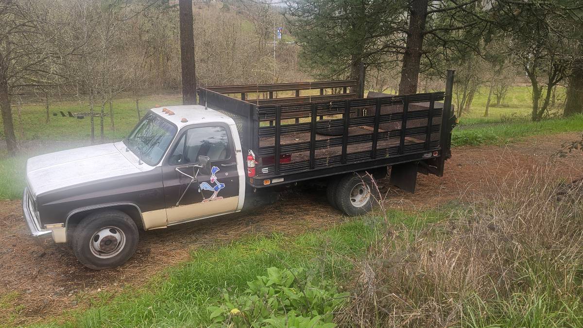 Chevrolet-Cheyenne-1989-white