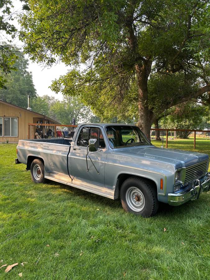 Chevrolet-Cheyenne-c20-1977-blue