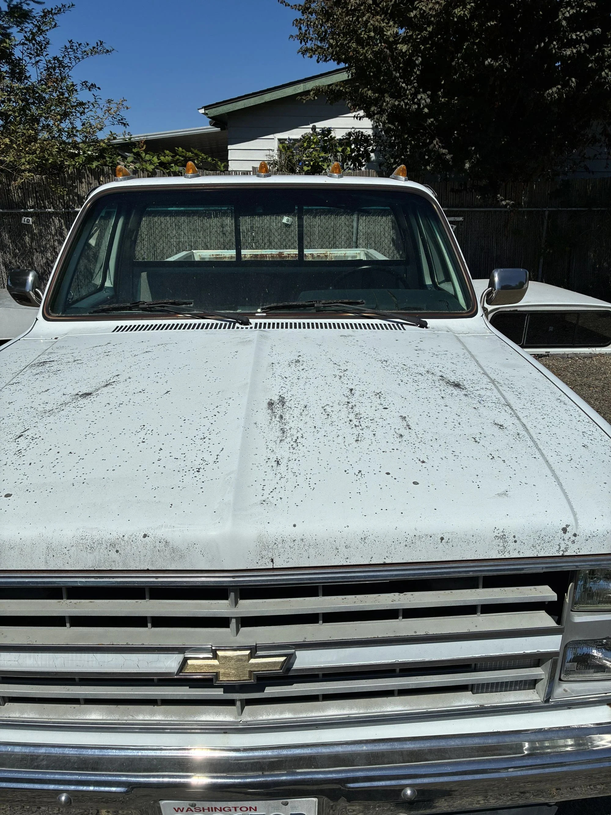 Chevrolet-Ck-truck-2wd-regular-cab-1500-1985-White-Blue