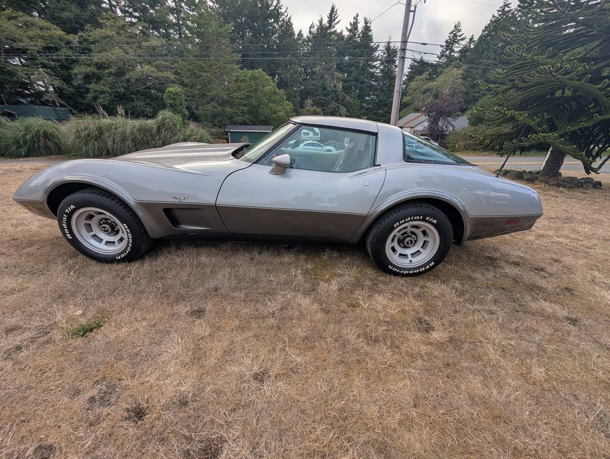 Chevrolet-Corvette-1978-Gray