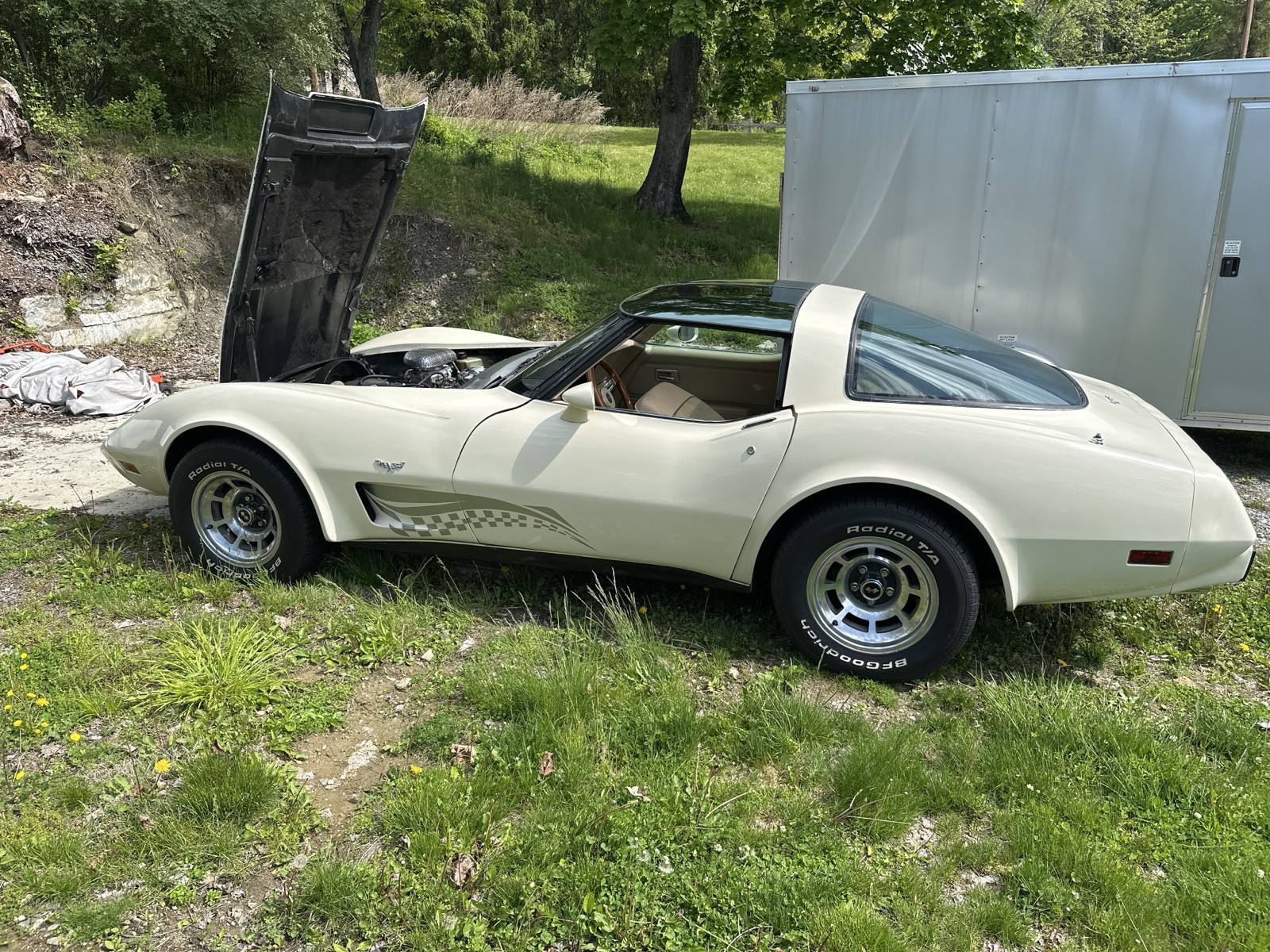 Chevrolet Corvette 1979