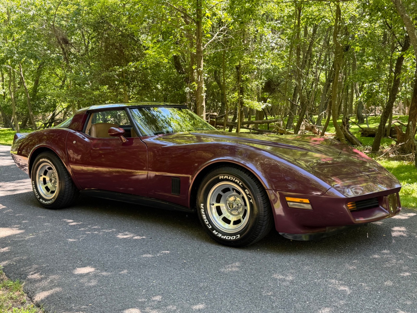 Chevrolet Corvette 1981